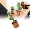 Peluche - DUO SHOP-STORY - CACTUS GRINGO - Danse et Chante - Enregistrement - Durable
