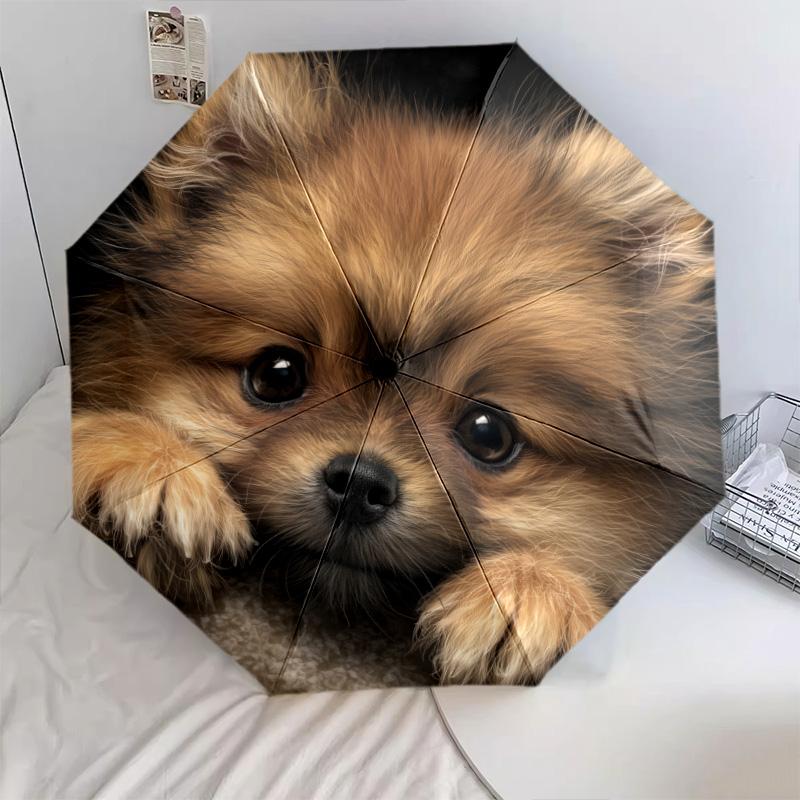 Зонт-автомат с рисунком «Собака на черном фоне», портативный и складной дизайн, 8 спиц, рождественский или день рождения подарок.