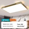 2025 Modern Minimalist LED Ceiling Light for Bedroom, Living Room, and Hall