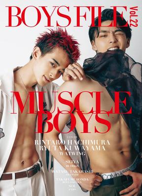 BOYS FILE Том 22 (Книга)