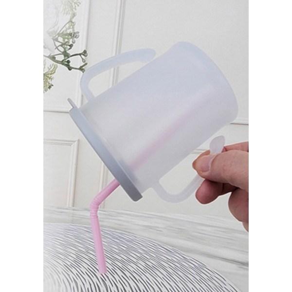 Agaphra New Magic Straw Cup 300ml X 2 Types Set, Mint + Gray, 1 Set