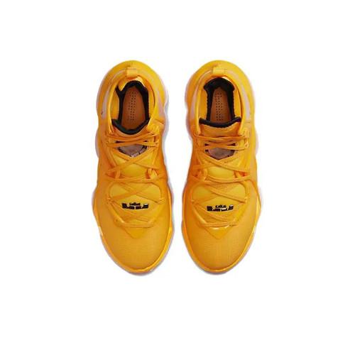 Nike Мужские кроссовки LeBron 19 EP 'Hard Hat' DC9340-700