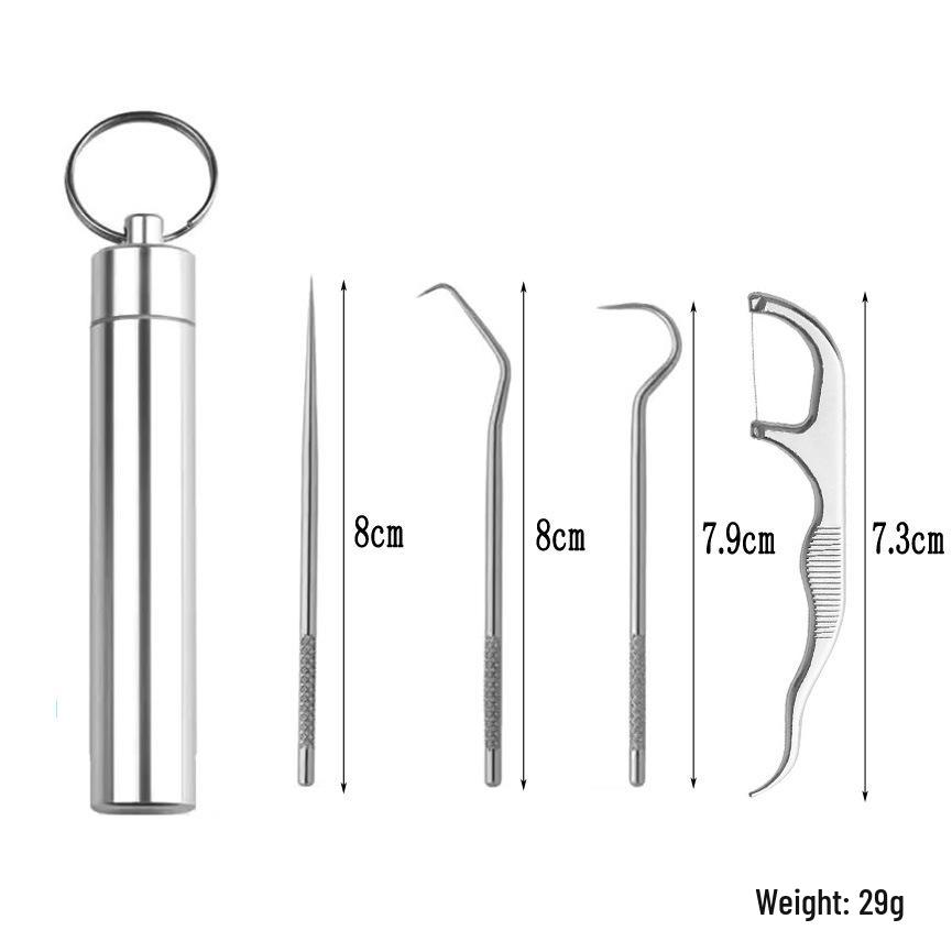 Portable 304 Stainless Steel Toothpick Set with Storage Tube for Oral Care