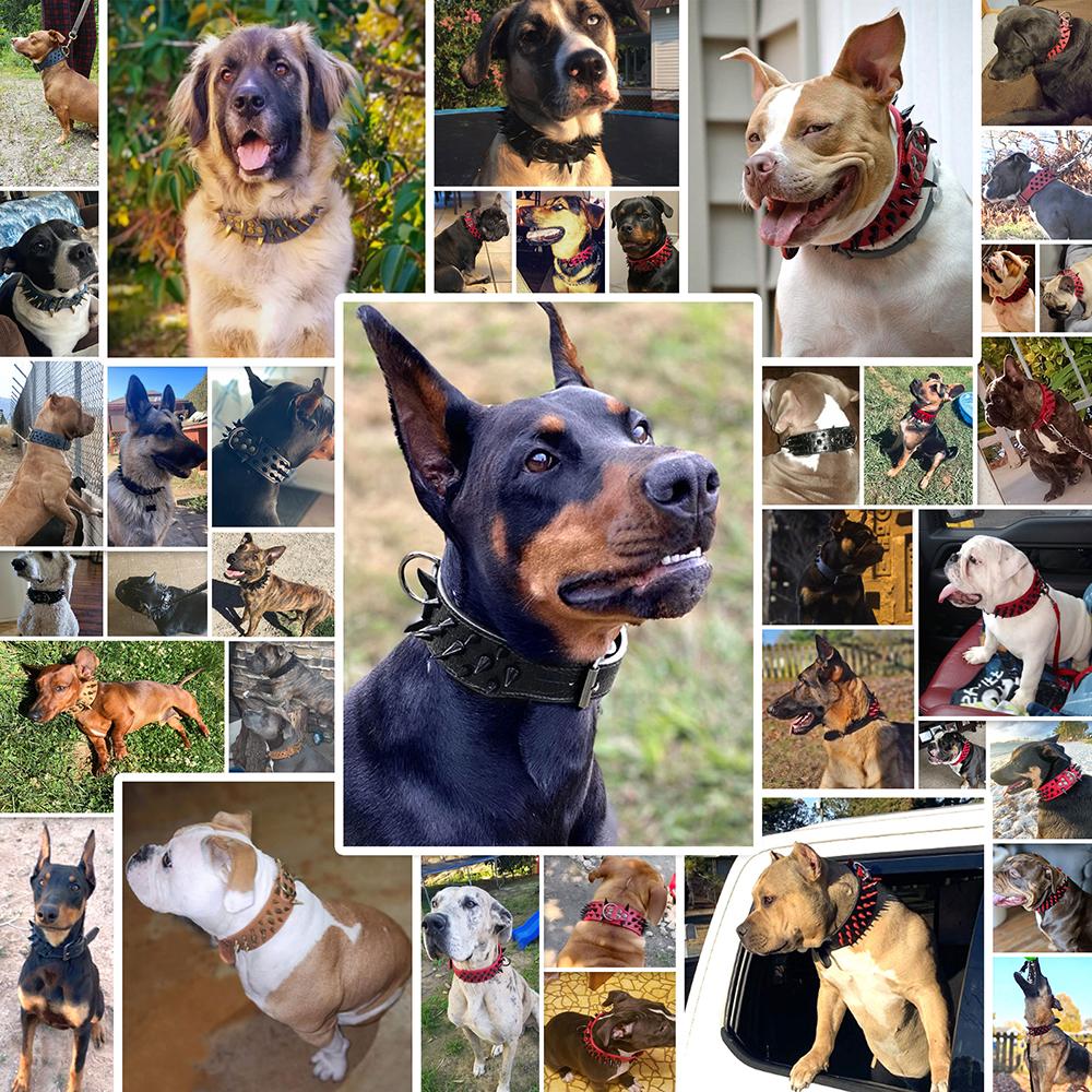 Ошейник для собак Cool Spikes Studded, ширина 2 дюйма, искусственная кожа, ошейники для больших собак, ошейники для питбулей, немецких овчарок, больших собак, товары для животных S XL