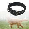 Для средних и больших собак утолщенный ошейник для тренировок на открытом воздухе, ожерелье с ремешком на шею, товары для домашних животных