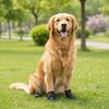Adjustable Waterproof Dog Boots Comfortable Dog Foot Cover Dog Paw Protector  Rainy Days