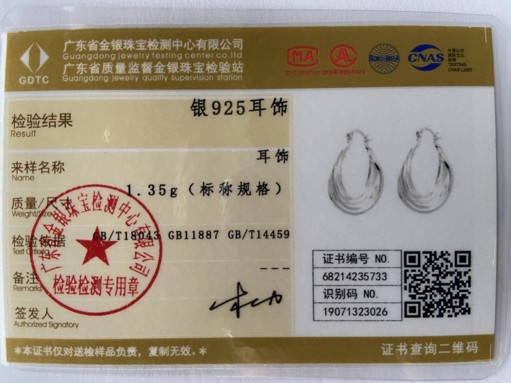 925 Sterling Silver Fashion Earrings