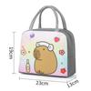 Cartoon Capybara Lunch Bag Insulated Food Container Portable Thermal Bento Box Bag Multifunctional Kids School Picnic Food Pouch