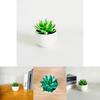 Imitation Succulent Plant Container With Durable Pvc For Home Interior Decoration