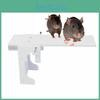 Mouse Trap Catch Rat Trap Catch Walk The Plank Humane Bucket Mice Auto Reset New