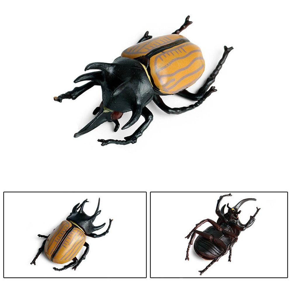 Realistic Beetle Action Figures Wild Insect Lifelike Insect Figurines Desktop Ornament