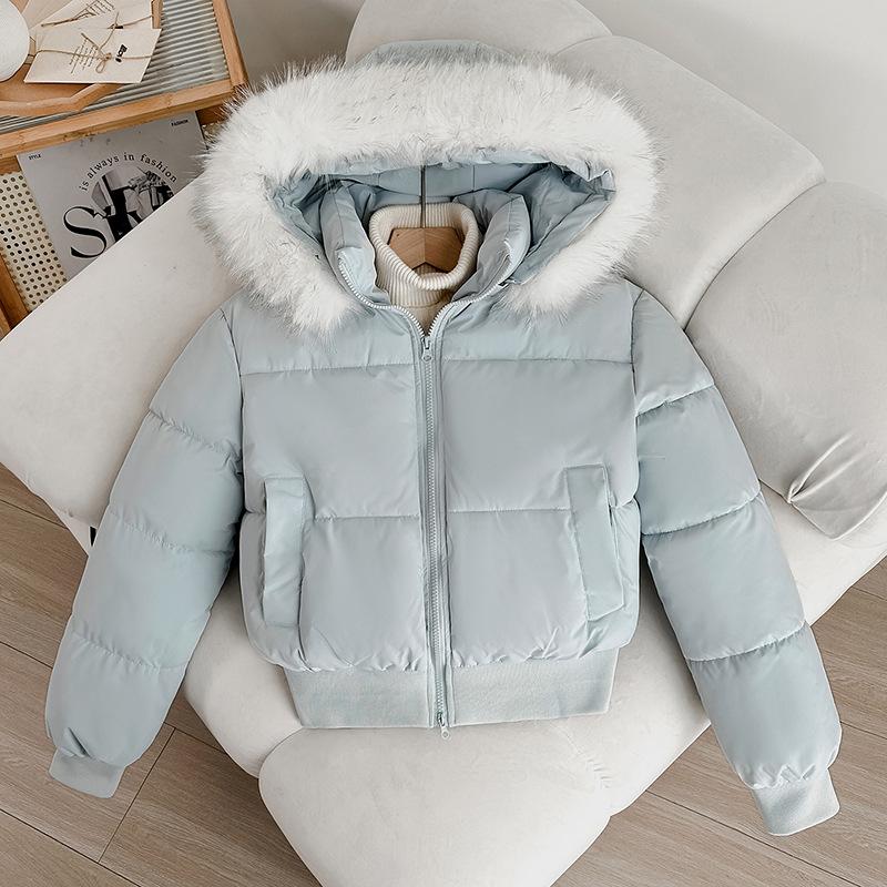 Winter new fashion versatile hooded down cotton clothes short big fur collar thickened loose small coat