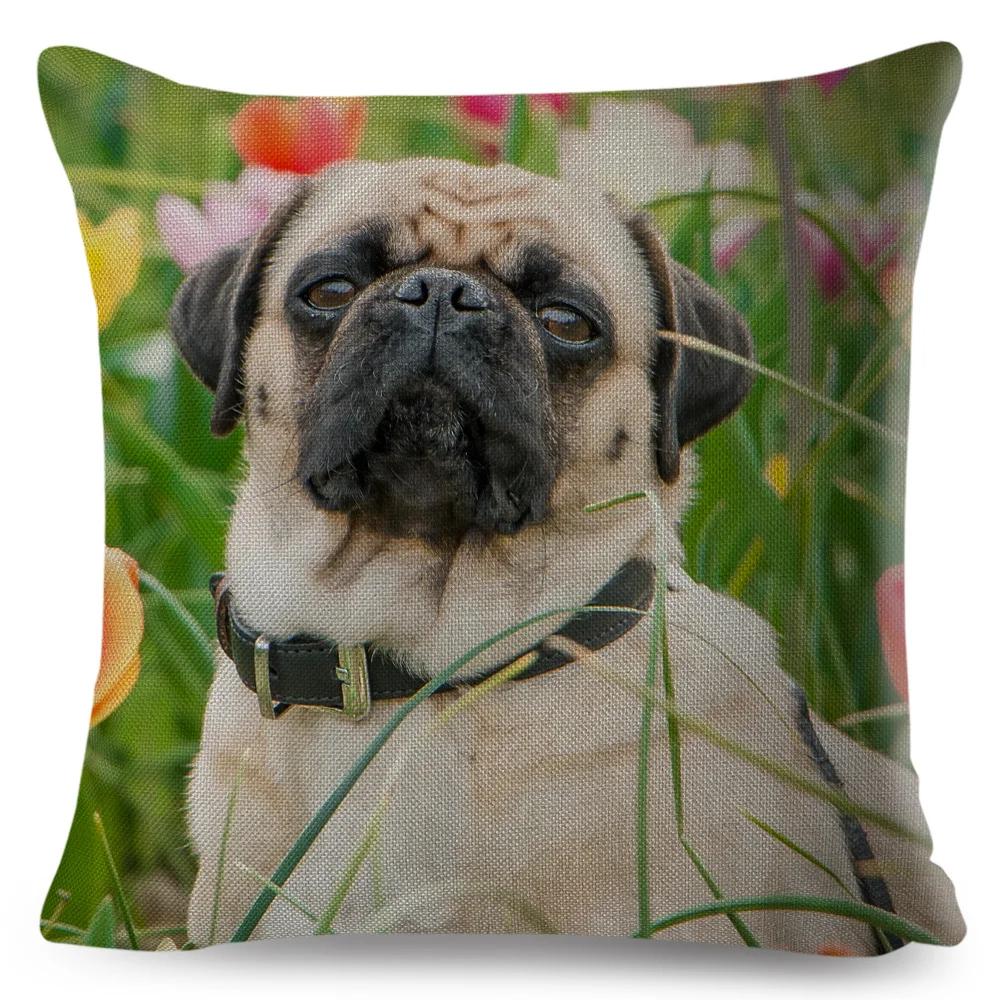 Both Sided Pug Dog Print Cushion Cover Decoration Pet Animal Pillow Case for Sofa Home Car Linen Pillowcase 45x45cm