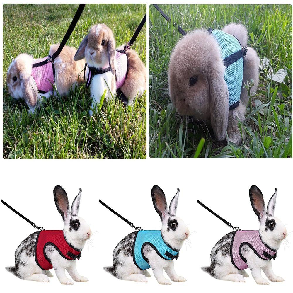 Pet Harness Rabbit Chest Harness Leash Fine Workmanship Rabbit Vest Harness Pets Supplies