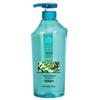 Fenghua Silicone-Free Anti-Dandruff Shampoo with Camellia Seed Oil