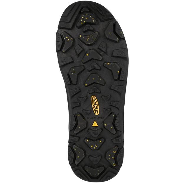Треккинговые ботинки Keen Revel IV Mid Polar
