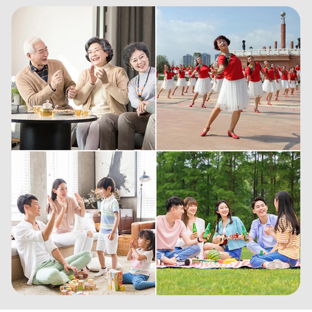 HRD-700 AM FM-радио Музыкальный плеер Портативный прием сигнала Перезаряжаемый динамик BT Панк Ретро-арт