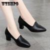 Soft Leather Mother Shoes Medium Heel Single Shoes Women's All-match Professional Work Black Small Leather Shoes Women's High Heels