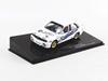BMW 1987 World Touring Car Championship ixo/Ixo M3#42 Cecotto-Brancatelli