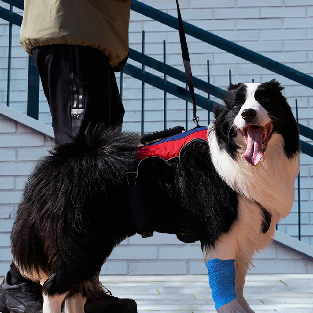 Универсальный нагрудный ремень для собак, вспомогательный ремень для ходьбы, многоцелевой, прочный и высококачественный ремешок для тела со светоотражающей ручкой