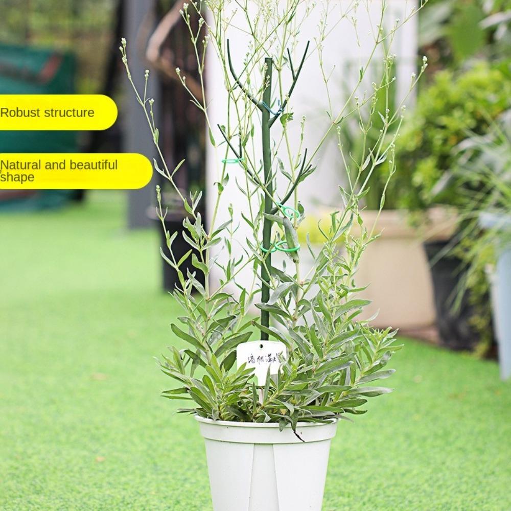 2 шт. противополегающие опоры для растений пластиковые палочки для растений горшечные растения