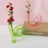 Decorative European Style Glass Vase for Water Flower Arrangements In Living Room or Office, Unique Shape and Personality.