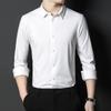 Spring and Autumn Traceless Long Sleeve Shirt Men's Slim Fit Elastic Non-ironing Shirt