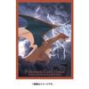Pokemon Pokemon Center Оригинальные чехлы для колоды TCG 65 предметов Dark Fight Charizard