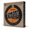 D'Addario ProArte Струны для классической гитары, SilverClear Light, EJ43-3D, 3 комплекта