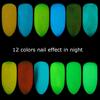 12 Nail Art Glitter Powder Ultra Fine Glow In the Dark Pigment Tips Decoration