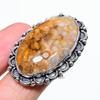 Fossil Coral Handmade 925 Sterling Silver Jewelry Ring Size 7 L2Y01