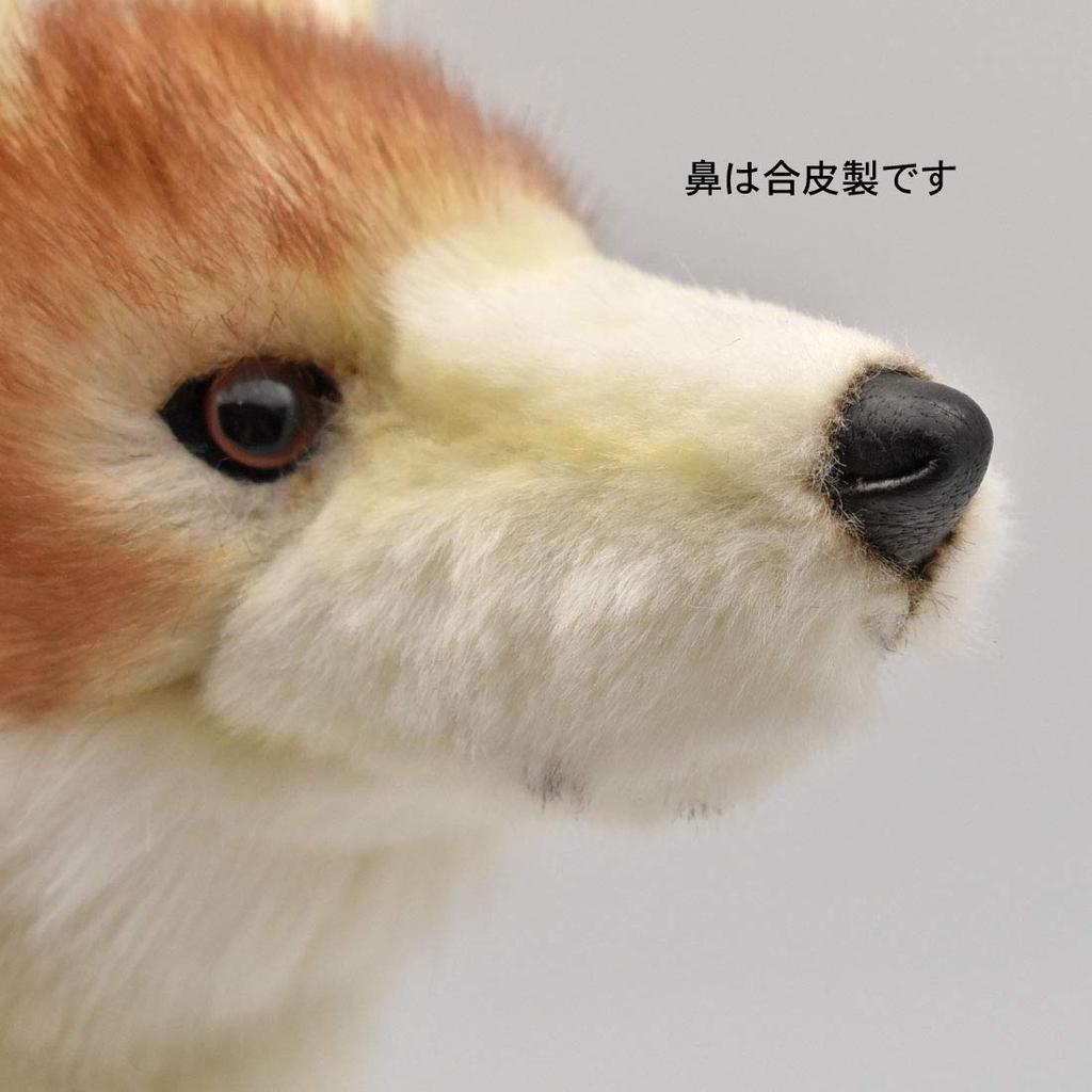 BH5207 HANSA Койот 35