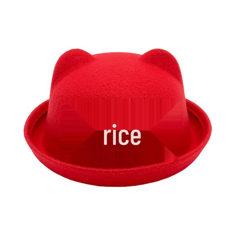 Autumn/Winter Kids' Cute Cat Ears Fedora: Korean/British Style Sunshade Wool Felt Fisherman Hat for Boys and Girls.
