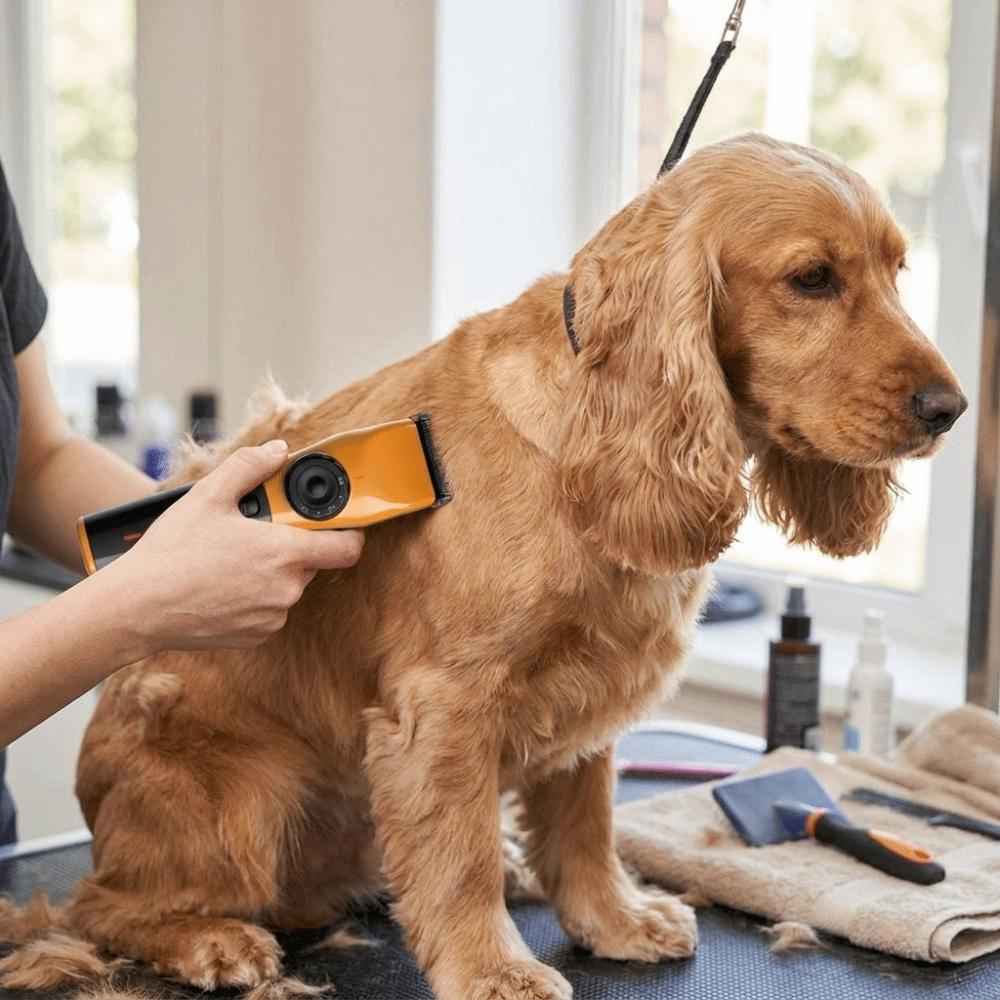 Waterproof Pet Hair Trimmer USB Rechargeable Cat Grooming Shaver Pet Electric Trimmer Pet Grooming