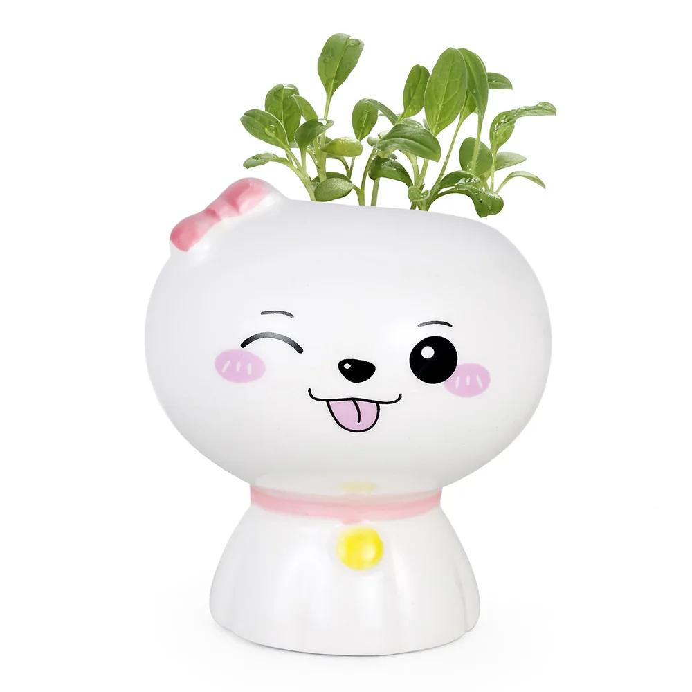 Новая мини-кукла, милый цветочный горшок, цветочный горшок, керамический суккулент, горшок, творческий DIY, детские игрушки, наука, образование, подарок, домашний декор