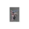 Bandai Spirits MG Strike Rouge Оборудование Ootori Вер.RM Масштаб 1/100 Пластиковая модель с цветовой кодировкой Gundam SEED Destiny