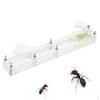 Small Housing Acrylic Nest Feed Farm Formicarium Box