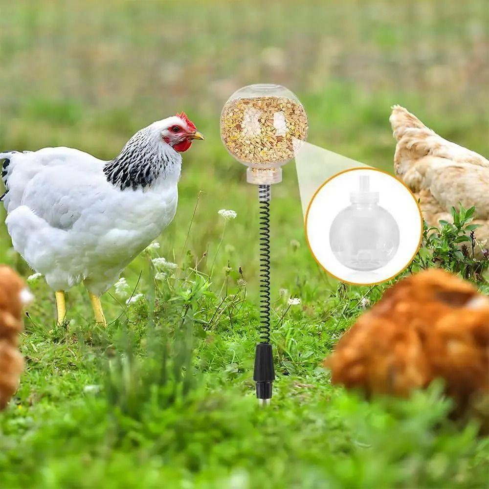 2 шт. Креативные игрушки для клевания куриц, Интерактивный дозатор лакомств для домашней птицы, Курятник
