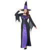 Witch Woman Costume Halloween Disguise One Size