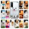 Чехол для телефона с милым померанским шпицем для vivo Y31 Y30 Y33S Y11S Y12S Y17 Y20 Y20S Y21 Y21S Y1S Y53S Y15 Y19 Y91C V23 5G, чехол