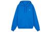 Свитшот Originals Shmoo FW22 Мужской Синий HK9866
