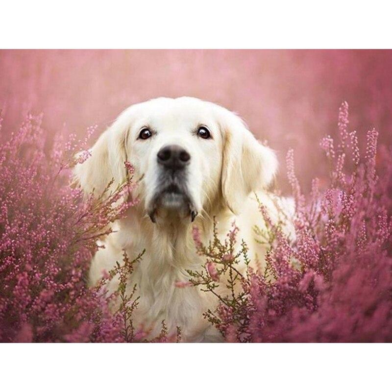 5D DIY Алмазная картина Набор Собака Искусство Алмазная вышивка Стразы Украшения для дома