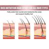 3x EELHOE ProRevita Rice Nutn Spray Hair Darken & Enhancer Coffee Extract 50mlZZ43