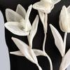 1 Pair Magnolia Flower Applique Organza 3D Sweater Dress Blouse Decor DIY Stitching Clothing Accessories Wedding Party Clothes Adornment