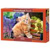 Puzzle Castorland 500 Pièces - Chaton Roux - Thème Animaux