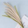 Fake Reed Grass Long-lasting Fade-resistant Realistic Artificial Pampas Grass for Home Wedding Decoration