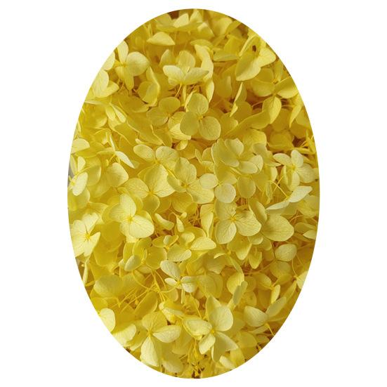 1 коробка, головки сушеных цветов, цветные, изысканные, 21 стиль, отличные привлекательные цветы гортензии, домашний декор