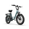 URLIFE Электровелосипед E20 для разных типов местности Аккумулятор 48В13Ач Мотор 500Вт 20-дюймовые толстые шины Максимальная скорость 25км/ч Запас хода 65км Электрический велосипед для городских поездок