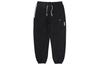 Мужские баскетбольные штаны Dri-FIT Standard Issue CK6366-010