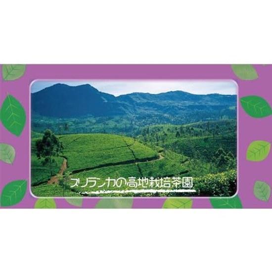 Avance Earl Grey Tea Triangle Bags 50P6 packs